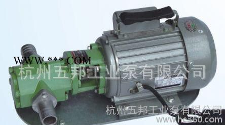 齿轮油泵  手提式齿轮油泵  WCB齿轮油泵 WCB-100齿轮油泵