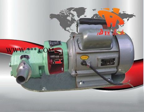 供应WCB型微型齿轮油泵】结构特点：WCB型微型齿轮油泵