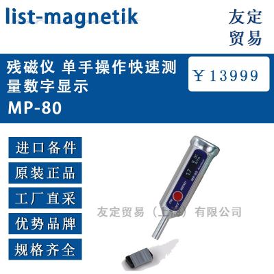 list-magnetik 残磁仪 快速测量数字显示